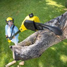 Best Weed Control Services  in USA